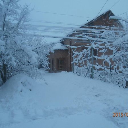 Ferienwohnung Karpatskiy Domik Izky Exterior foto